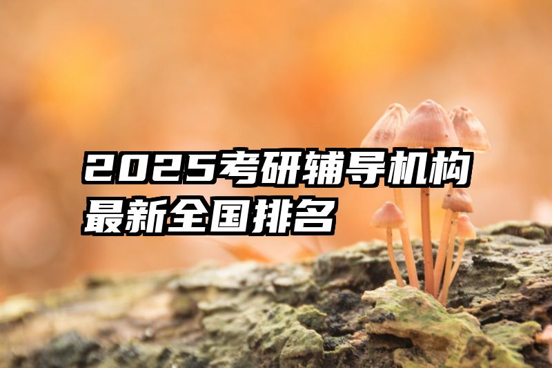 2025考研辅导机构最新全国排名