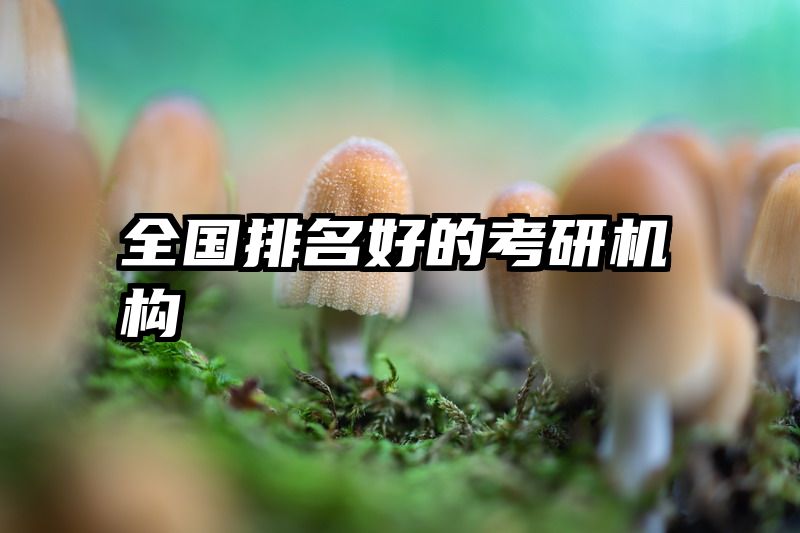 全国排名好的考研机构