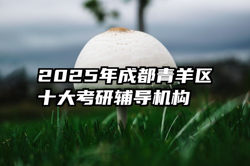2025年成都青羊区十大考研辅导机构