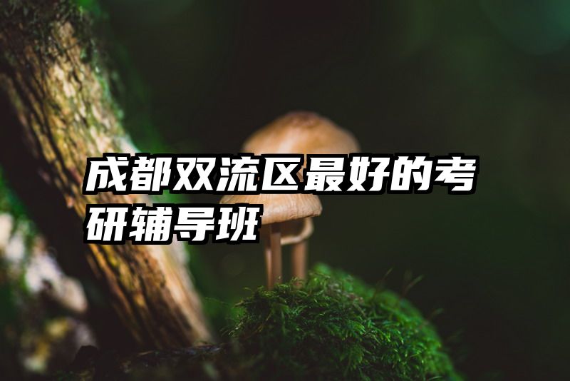 成都双流区最好的考研辅导班
