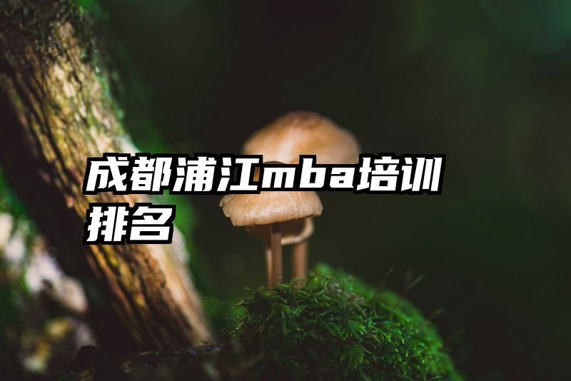 成都浦江mba培训排名