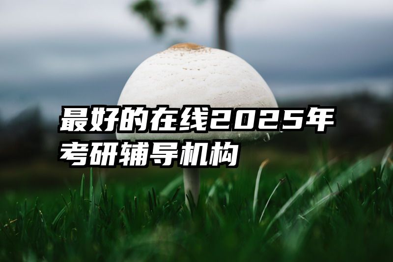 最好的在线2025年考研辅导机构