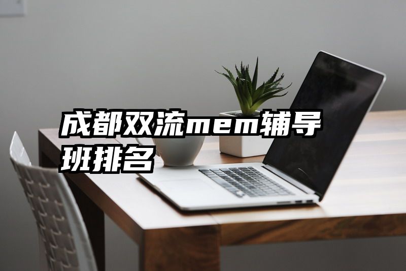 成都双流mem辅导班排名