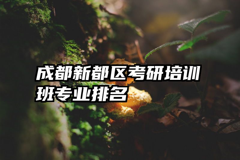 成都新都区考研培训班专业排名