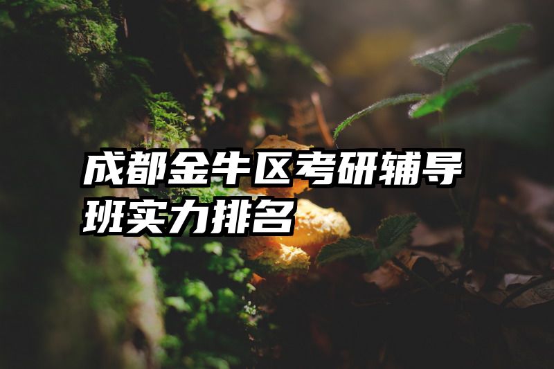 成都金牛区考研辅导班实力排名