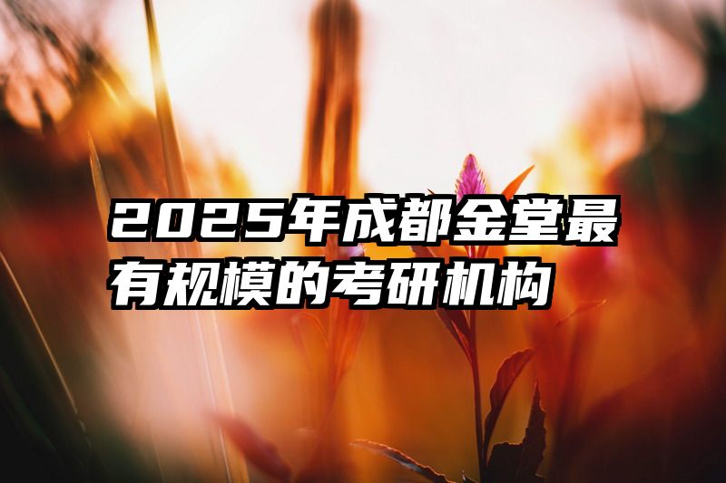 2025年成都金堂最有规模的考研机构