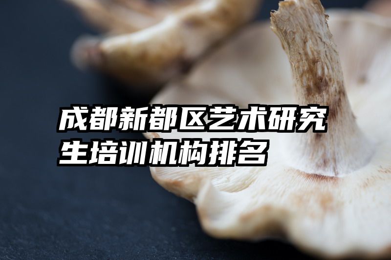 成都新都区艺术研究生培训机构排名