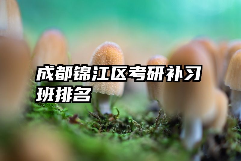 成都锦江区考研补习班排名