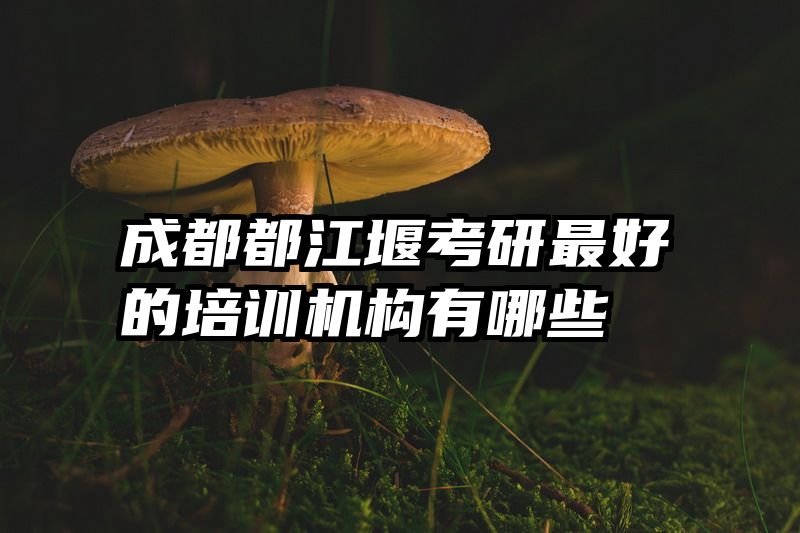成都都江堰考研最好的培训机构有哪些