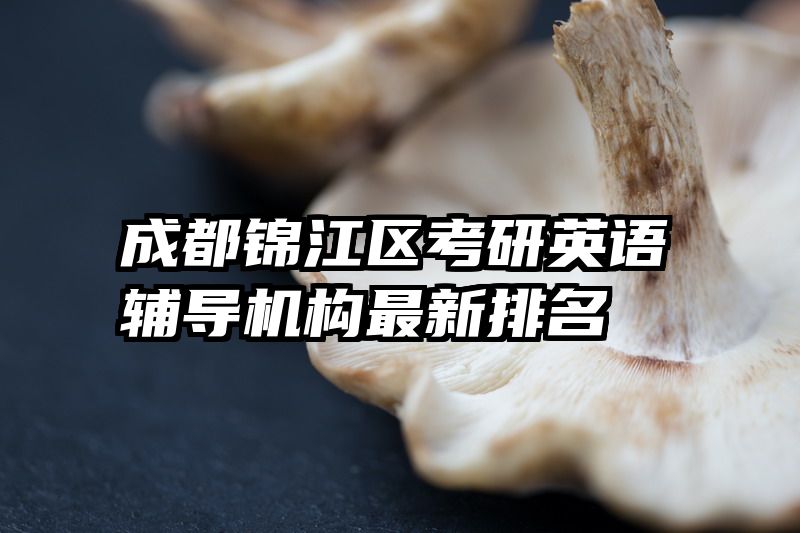 成都锦江区考研英语辅导机构最新排名