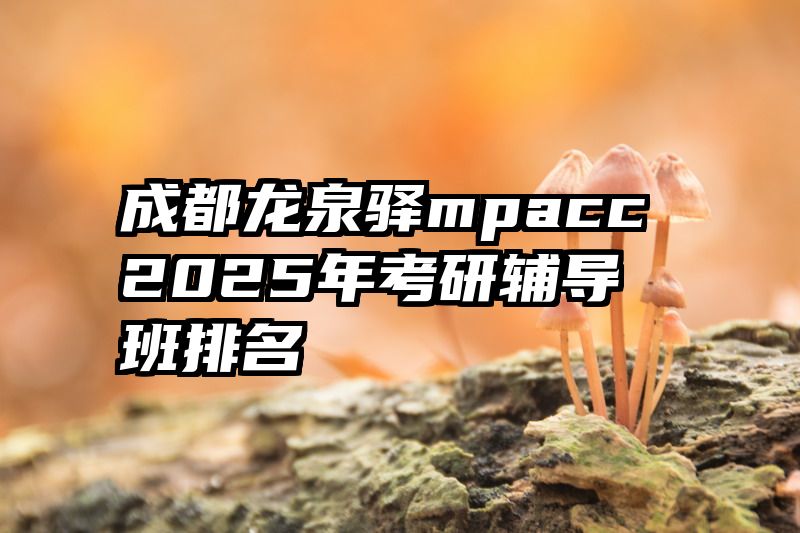 成都龙泉驿mpacc2025年考研辅导班排名