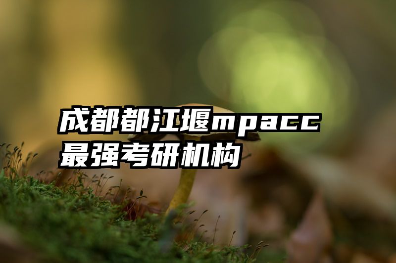 成都都江堰mpacc最强考研机构