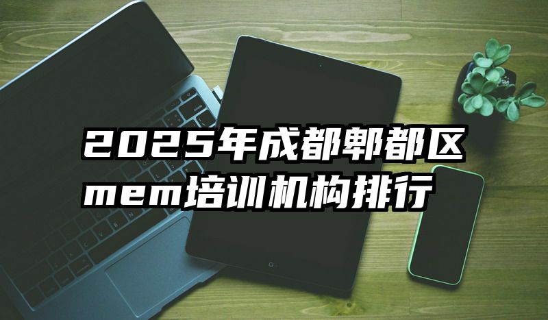 2025年成都郫都区mem培训机构排行