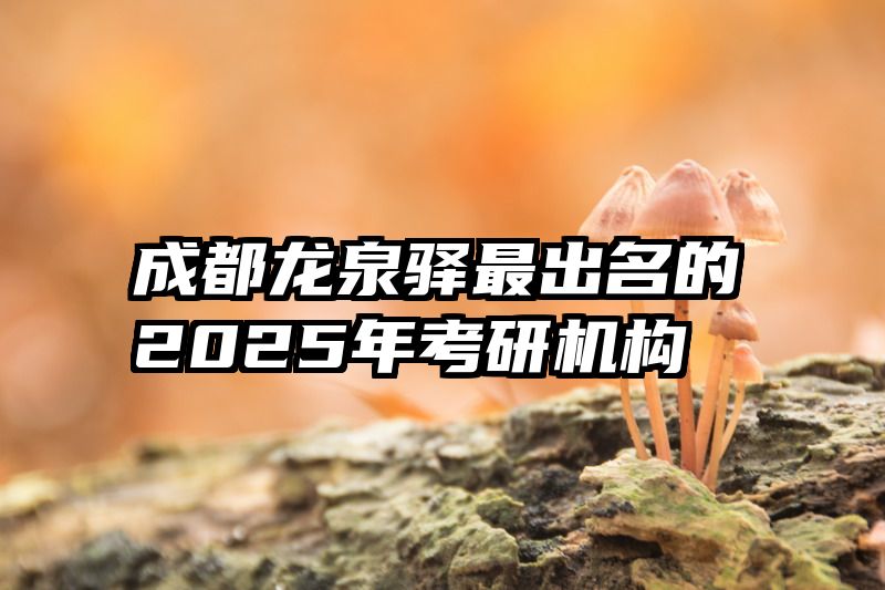 成都龙泉驿最出名的2025年考研机构