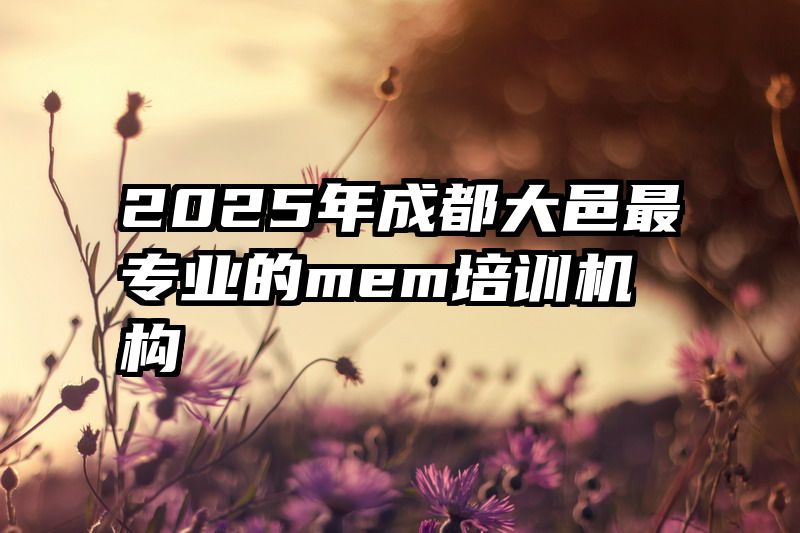 2025年成都大邑最专业的mem培训机构