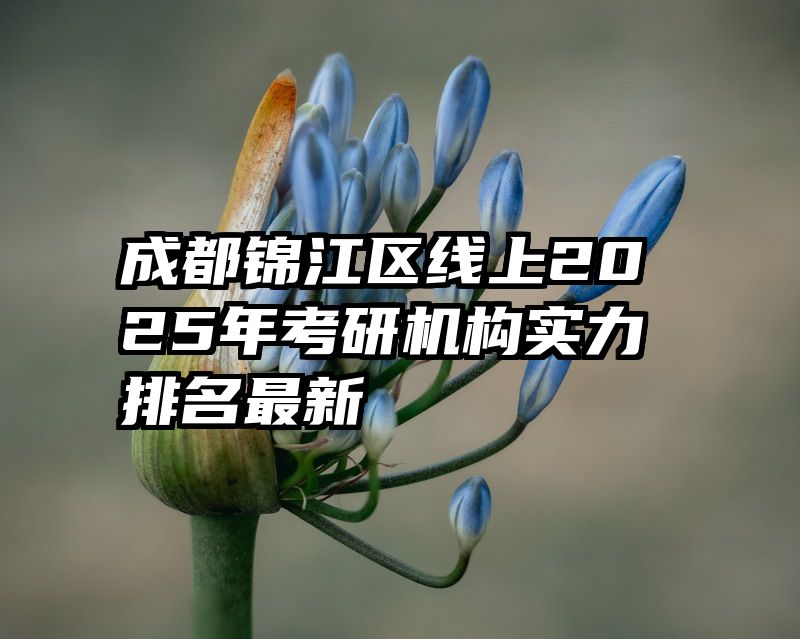 成都锦江区线上2025年考研机构实力排名最新
