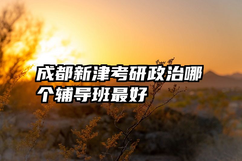 成都新津考研政治哪个辅导班最好