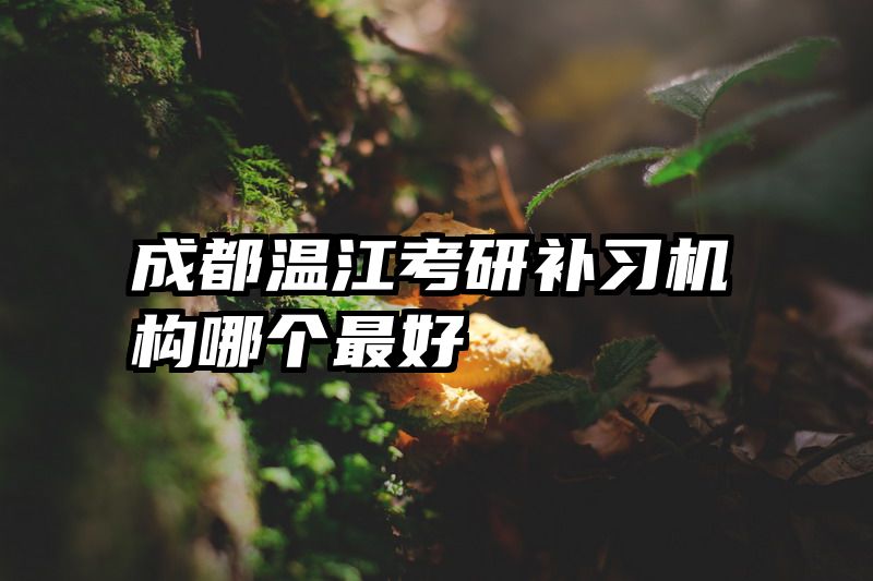 成都温江考研补习机构哪个最好