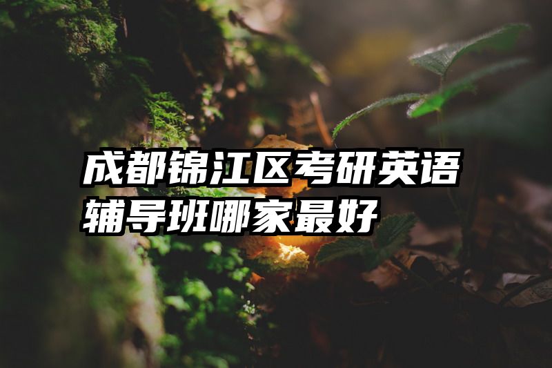成都锦江区考研英语辅导班哪家最好