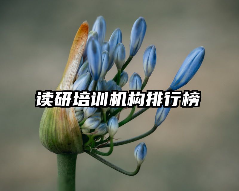 读研培训机构排行榜