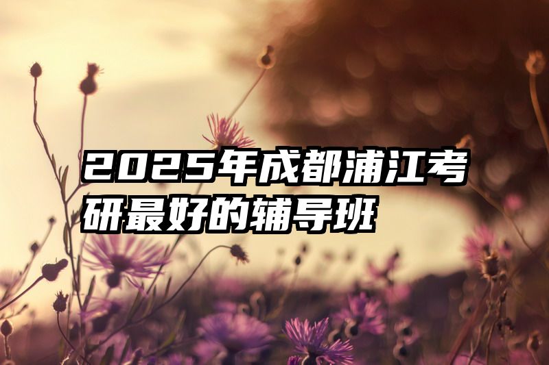 2025年成都浦江考研最好的辅导班