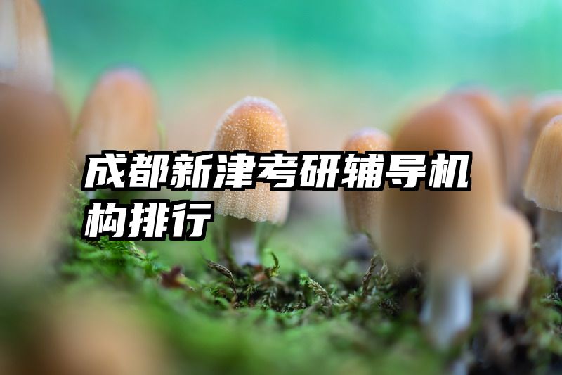 成都新津考研辅导机构排行