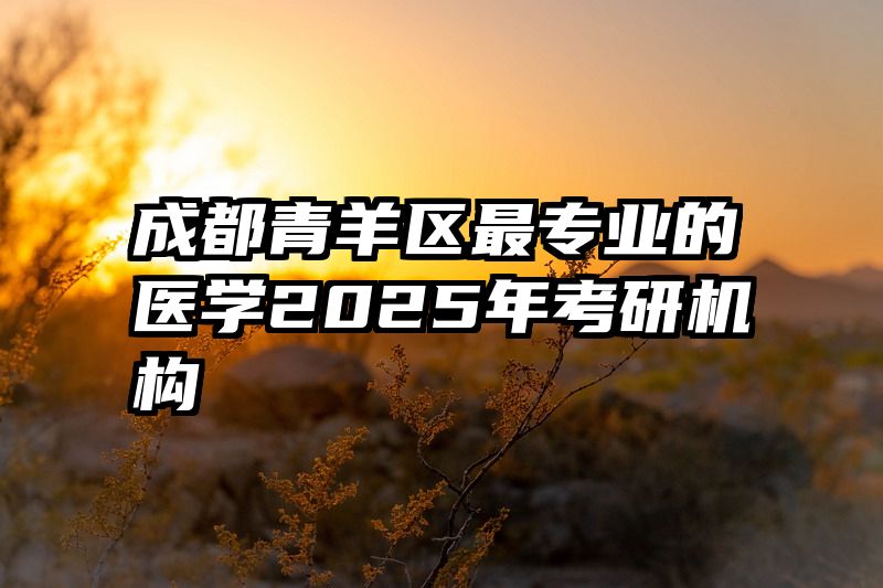 成都青羊区最专业的医学2025年考研机构