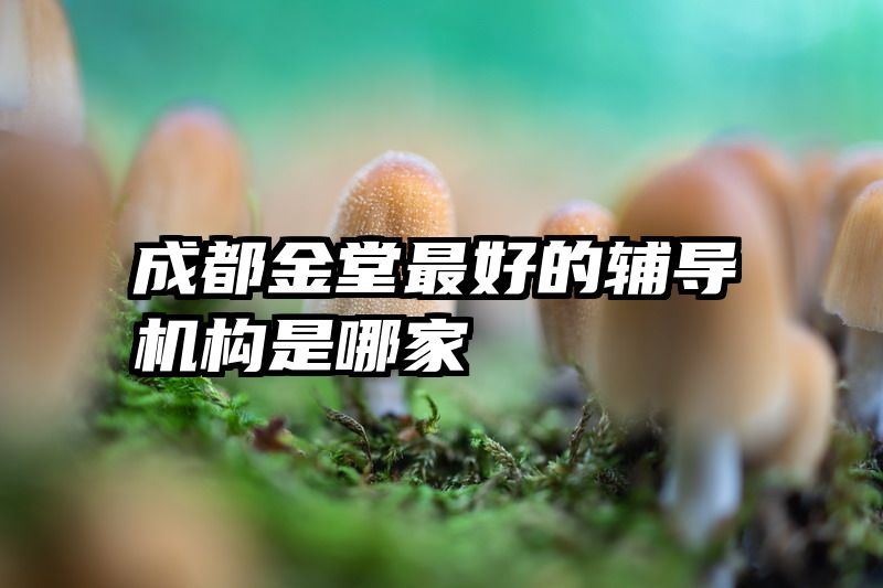 成都金堂最好的辅导机构是哪家