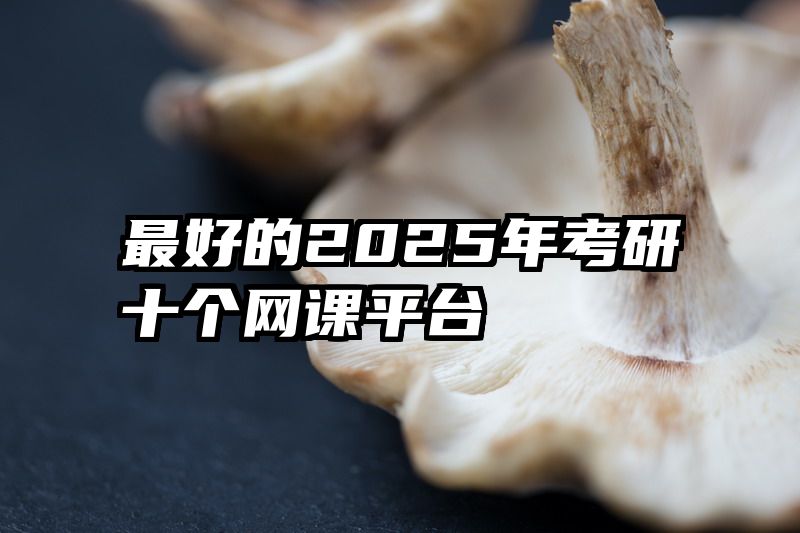 最好的2025年考研十个网课平台