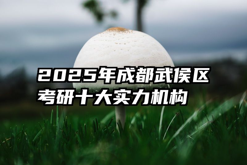 2025年成都武侯区考研十大实力机构