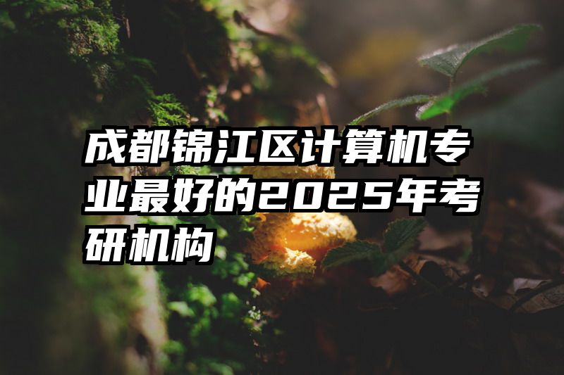 成都锦江区计算机专业最好的2025年考研机构