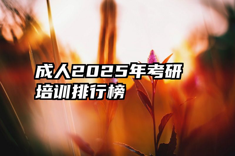 成人2025年考研培训排行榜