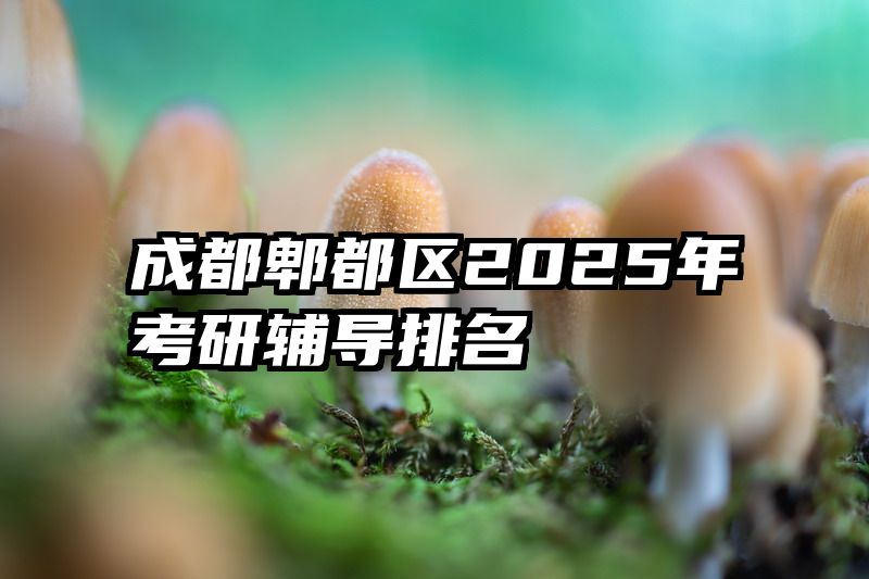 成都郫都区2025年考研辅导排名