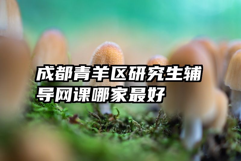 成都青羊区研究生辅导网课哪家最好
