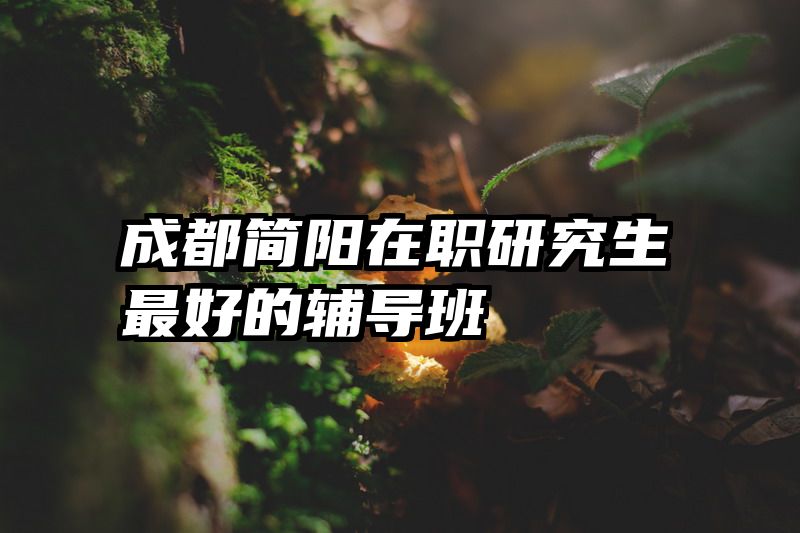 成都简阳在职研究生最好的辅导班