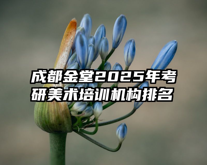 成都金堂2025年考研美术培训机构排名