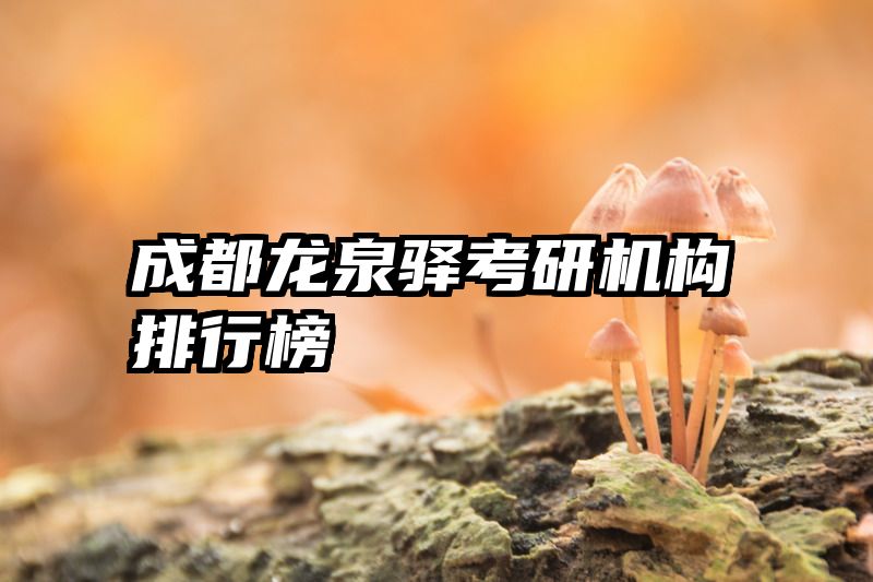 成都龙泉驿考研机构排行榜