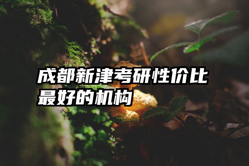 成都新津考研性价比最好的机构