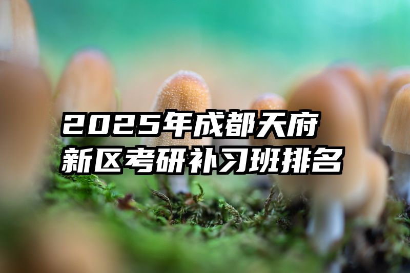 2025年成都天府新区考研补习班排名