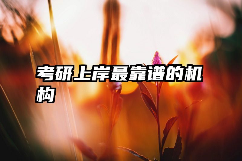考研上岸最靠谱的机构