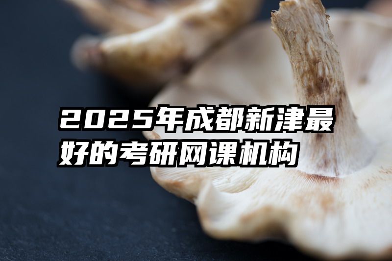 2025年成都新津最好的考研网课机构