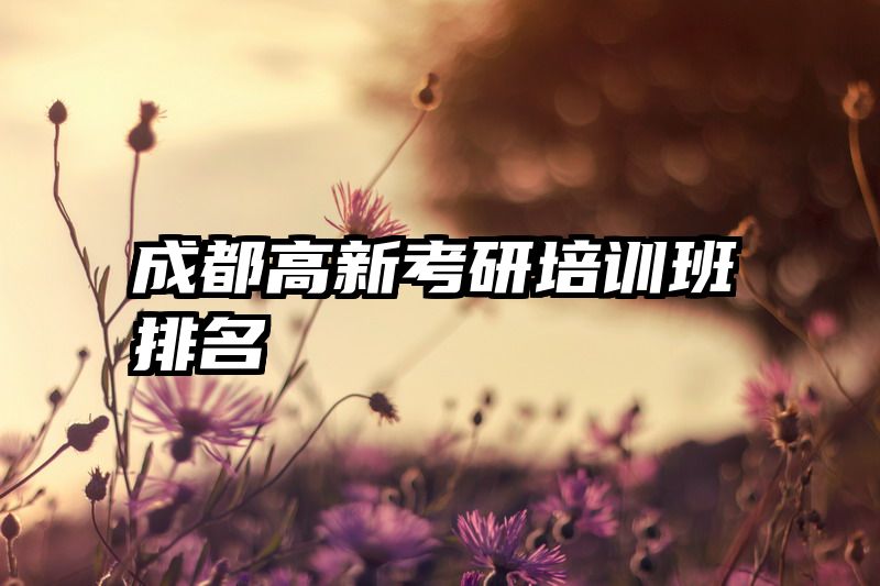 成都高新考研培训班排名
