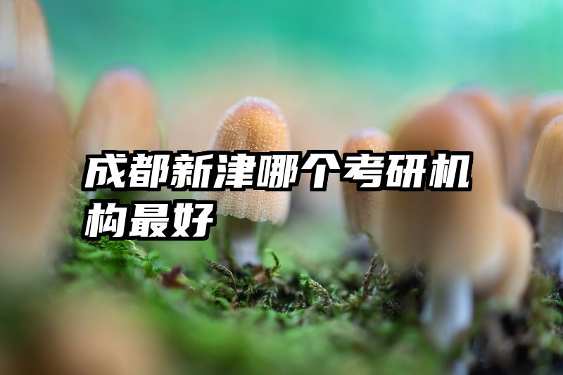 成都新津哪个考研机构最好