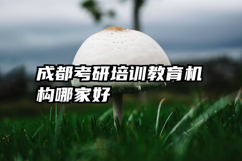 成都考研培训教育机构哪家好