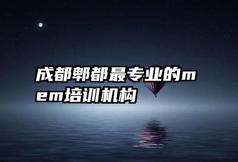 成都郫都最专业的mem培训机构