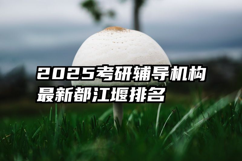 2025考研辅导机构最新都江堰排名