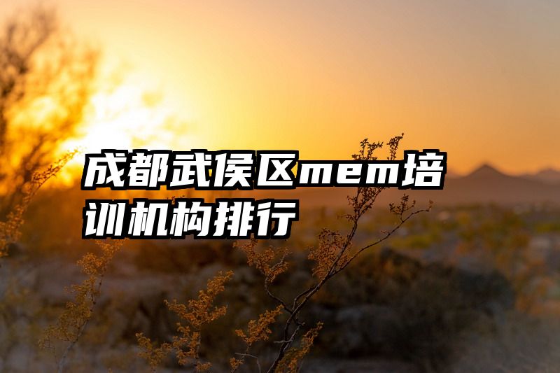 成都武侯区mem培训机构排行