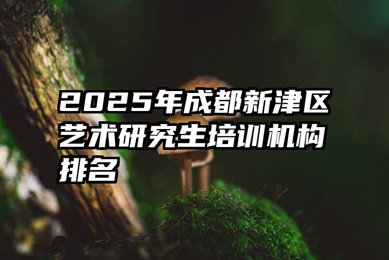 2025年成都新津区艺术研究生培训机构排名