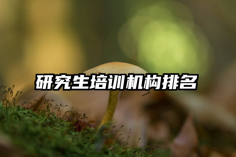 研究生培训机构排名