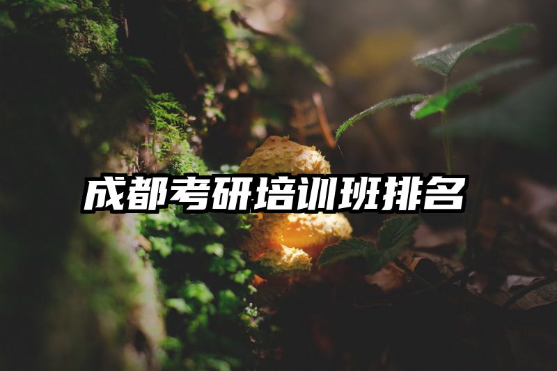 成都考研培训班排名